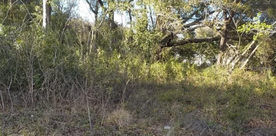 Land in Summerfield, Florida № 2403432