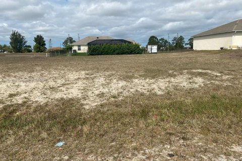 Land in Cape Coral, Florida № 2029467 - photo 4