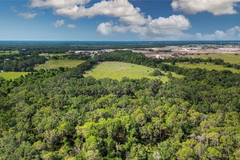 Land in Wimauma, Florida № 1735457 - photo 6