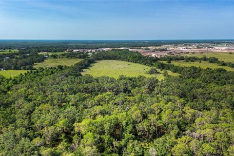 Land in Wimauma, Florida № 1735457 - photo 5