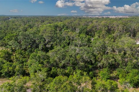 Land in Wimauma, Florida № 1735457 - photo 3