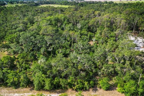 Land in Wimauma, Florida № 1735457 - photo 4