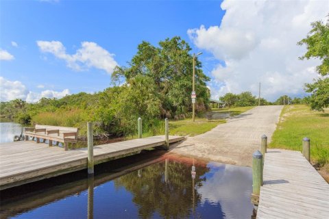 Land in Wimauma, Florida № 1735457 - photo 10