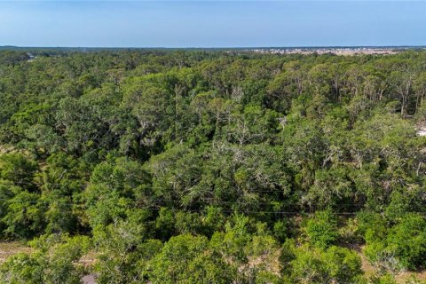 Land in Wimauma, Florida № 1735457 - photo 1