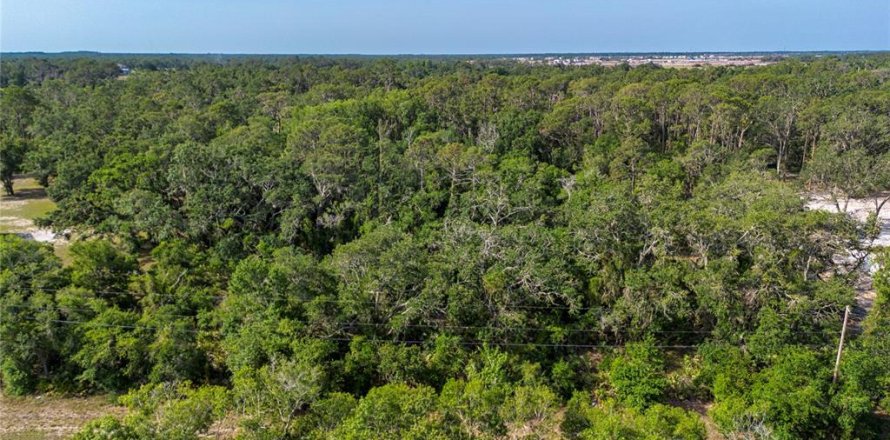 Land in Wimauma, Florida № 1735457