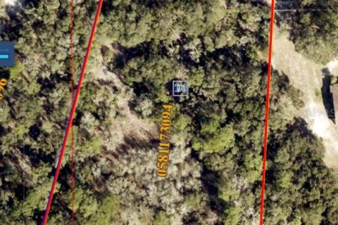 Land in Wimauma, Florida № 1735457 - photo 2