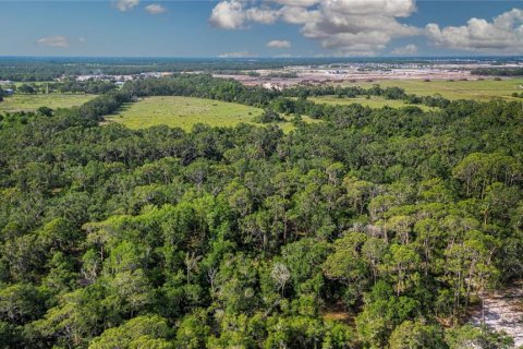Land in Wimauma, Florida № 1735457 - photo 8