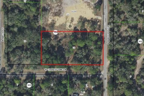 Land in Crystal River, Florida № 2277895
