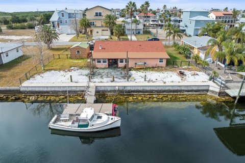 Land in Hernando Beach, Florida № 1553229 - photo 3