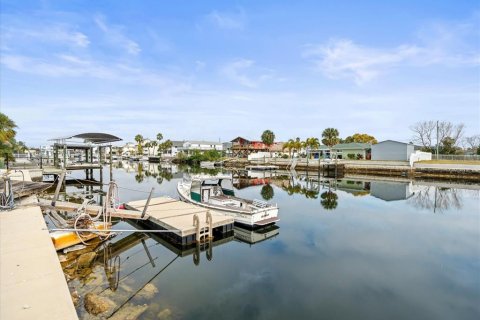 Land in Hernando Beach, Florida № 1553229 - photo 28