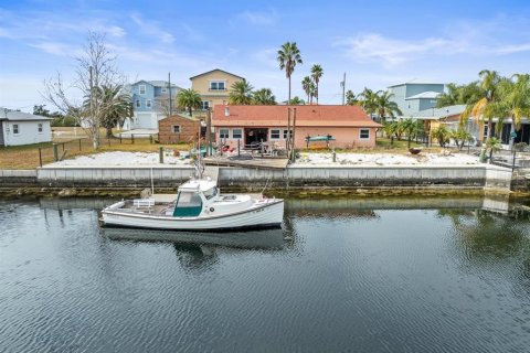 Land in Hernando Beach, Florida № 1553229 - photo 10