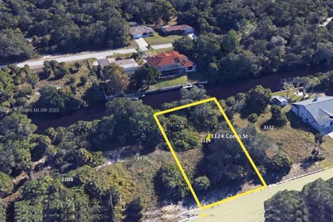 Terreno en venta en Port Charlotte, Florida № 1892860 - foto 2