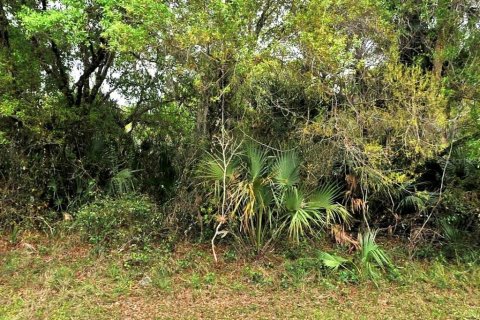 Terrain à North Port, Floride № 2160787