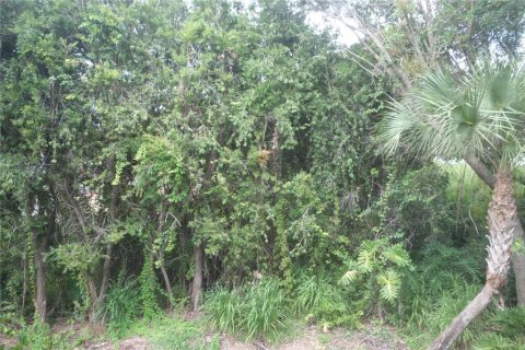 Copropriété à vendre à Lakeland, Floride: 3 chambres, 164.81 m2 № 2386340 - photo 26