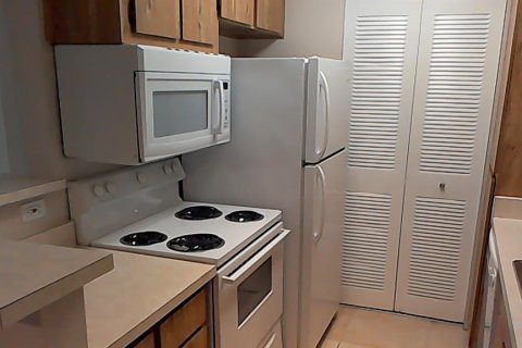 Condo in Palm Harbor, Florida, 2 bedrooms  № 2377668 - photo 12