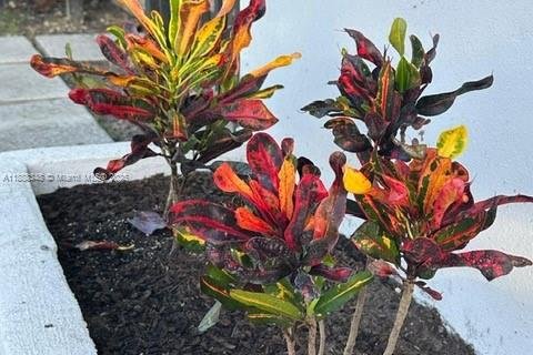 Снять в аренду виллу или дом в Майами, Флорида 2 спальни, 69.49м2, № 1950049 - фото 8