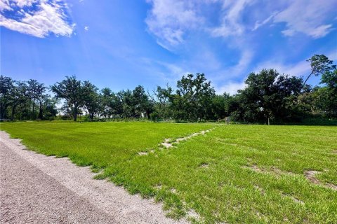Terrain à vendre à Ona, Floride № 1760412 - photo 30