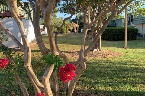Copropriété à vendre à Clearwater, Floride: 2 chambres, 75.53 m2 № 1813588 - photo 12