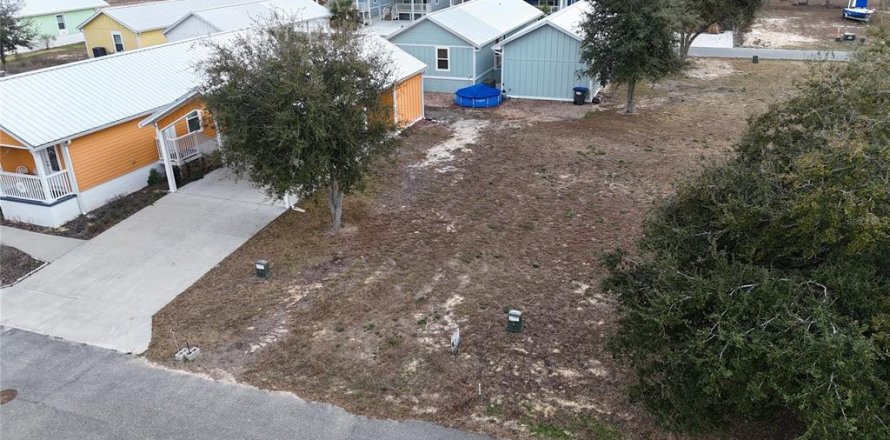 Land in Steinhatchee, Florida № 2160679
