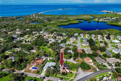 Villa ou maison à vendre à Tarpon Springs, Floride: 3 chambres, 222.78 m2 № 1905927 - photo 2