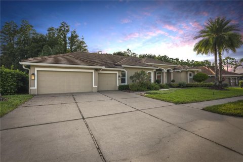 House in Tampa, Florida 5 bedrooms, 316.7 sq.m. № 1847026 - photo 1