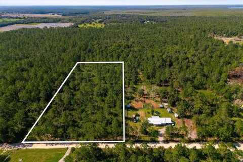 Land in Bunnell, Florida № 2393701 - photo 12