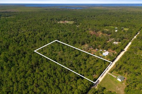 Land in Bunnell, Florida № 2393701 - photo 2