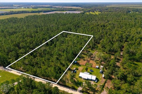 Land in Bunnell, Florida № 2393701 - photo 11
