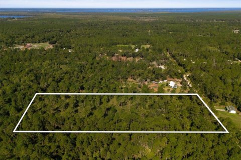 Land in Bunnell, Florida № 2393701 - photo 3