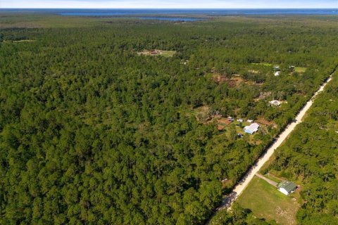 Land in Bunnell, Florida № 2393701