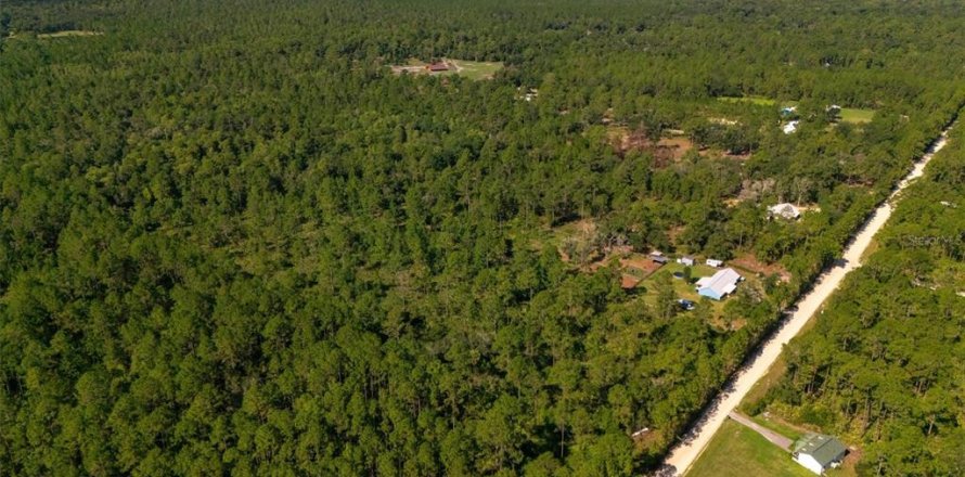 Land in Bunnell, Florida № 2393701