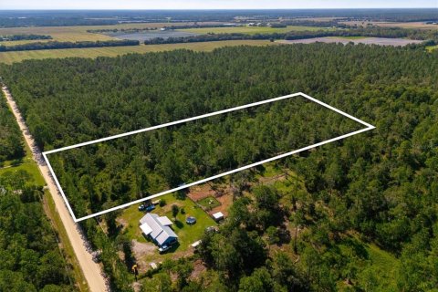 Land in Bunnell, Florida № 2393701 - photo 10