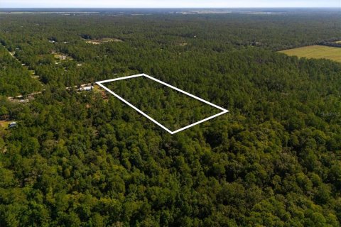 Land in Bunnell, Florida № 2393701 - photo 7