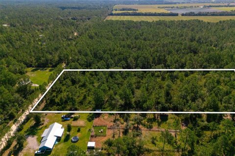 Land in Bunnell, Florida № 2393701 - photo 9
