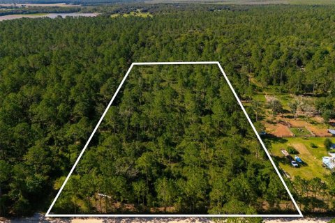 Land in Bunnell, Florida № 2393701 - photo 13