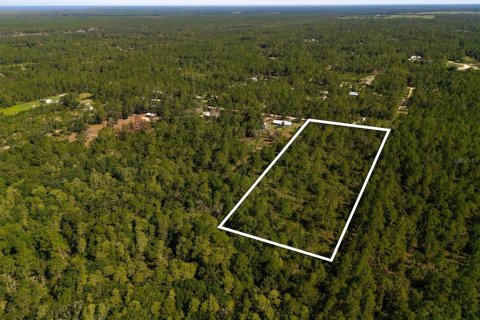 Land in Bunnell, Florida № 2393701 - photo 5
