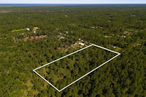 Land in Bunnell, Florida № 2393701 - photo 4