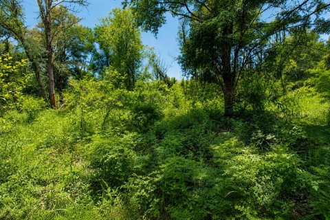 Купить виллу или дом в Олд Таун, Флорида 3 комнаты, 71.35м2, № 2157588 - фото 23