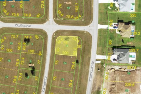 Land in Port Charlotte, Florida № 2158100 - photo 2