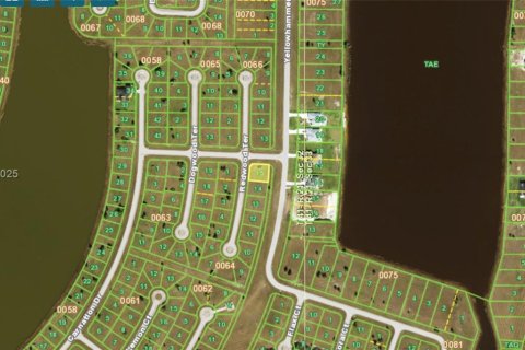 Land in Port Charlotte, Florida № 2158100 - photo 4
