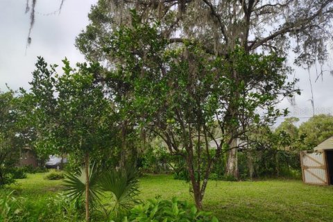 Villa ou maison à vendre à Umatilla, Floride: 2 chambres, 113.15 m2 № 2103420 - photo 3