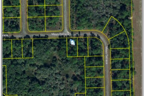 Land in LaBelle, Florida № 2213068