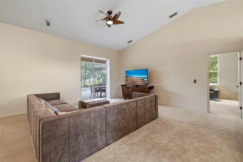 Villa ou maison à vendre à Parrish, Floride: 4 chambres, 245.91 m2 № 1446768 - photo 17