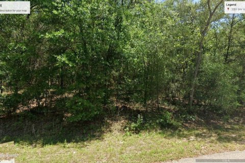 Land in Dunnellon, Florida № 2159748
