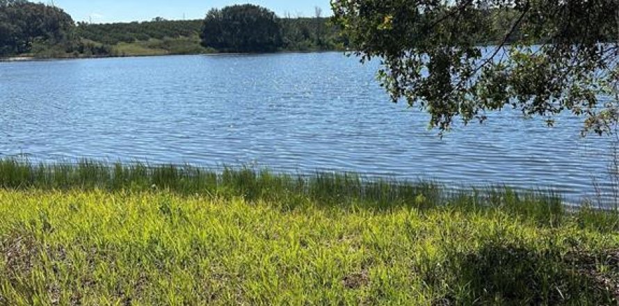 Terrain à Umatilla, Floride № 1906190