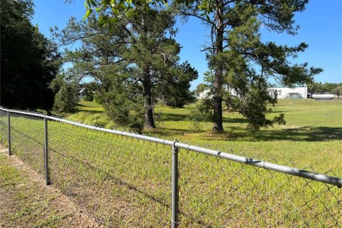 House in Ocala, Florida 3 bedrooms, 146.88 sq.m. № 1760547 - photo 22