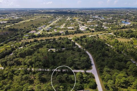 Land in Port Charlotte, Florida № 2165526 - photo 7