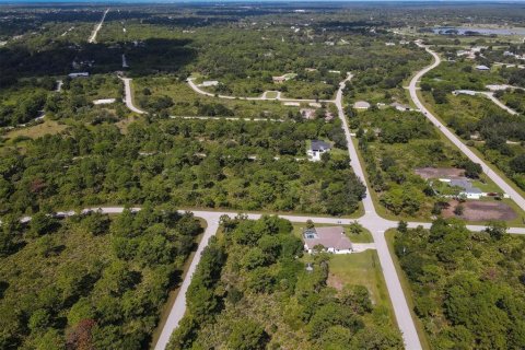 Land in Port Charlotte, Florida № 2165526 - photo 6