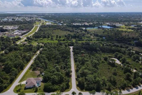 Land in Port Charlotte, Florida № 2165526 - photo 4