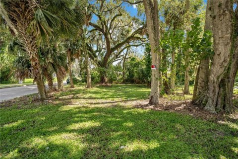 Купить земельный участок в Санфорд, Флорида № 1901293 - фото 10